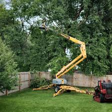  Ripley, TN Tree Removal Pros